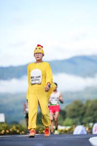 BIB: 
                            <button type="button" onclick="openModal(26542647)" class="btn btn-primary btn-sm float-right btn-popup" data-toggle="modal" data-target=".modal-high-quality">
                        <i class="fas fa-shopping-cart"></i> Add to Cart
                    </button>
                                            <button type="button" onclick="isThisMe(26542647, true)" class="btn btn-success btn-sm float-right btn-popup btn-isme hidden" data-toggle="tooltip" data-placement="bottom" title="นี่คือรูปของคุณใช่ไหม คลิกที่นี่เพื่อเอาเข้าอัลบั้ม">
                        <i class="fas fa-plus"></i> Add to album
                    </button>
                    <button type="button" onclick="isThisMe(26542647, false)" class="btn btn-warning btn-sm float-right btn-popup btn-isnotme hidden">
                        <i class="fas fa-ban"></i> Remove from album
                    </button>